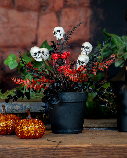 Midnight Gardens Totenkopf Topfpflanze 23cm