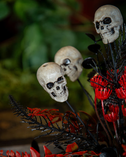 Midnight Gardens Totenkopf Topfpflanze 23cm