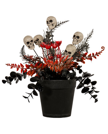 Midnight Gardens Totenkopf Topfpflanze 23cm