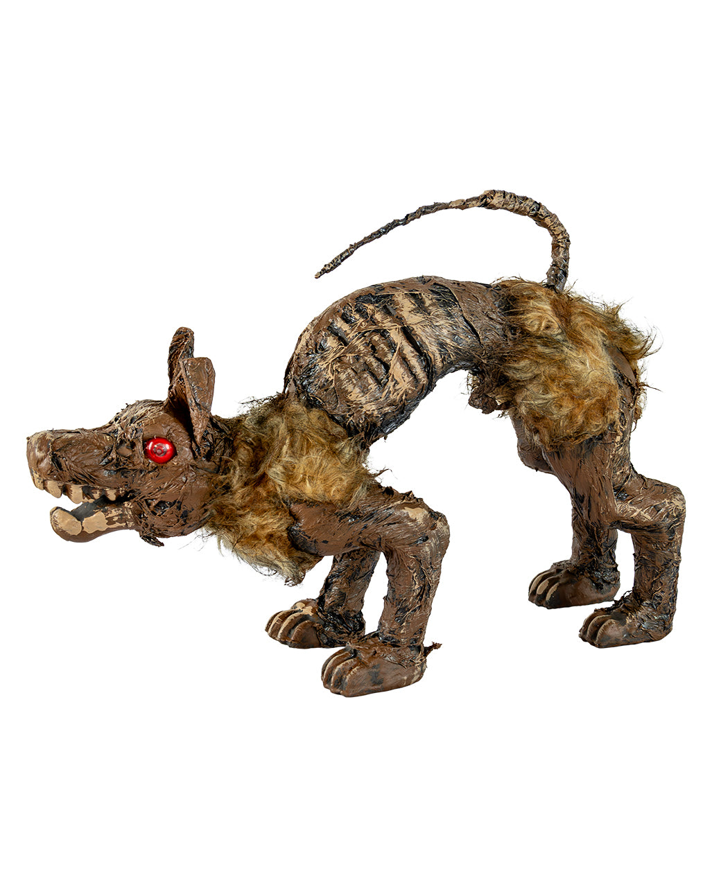 Mumifiziertes Hundeskelett aus dem Moor 51cm