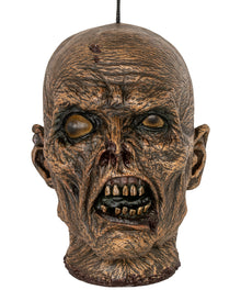 Mumifizierter Menschenkopf 23cm