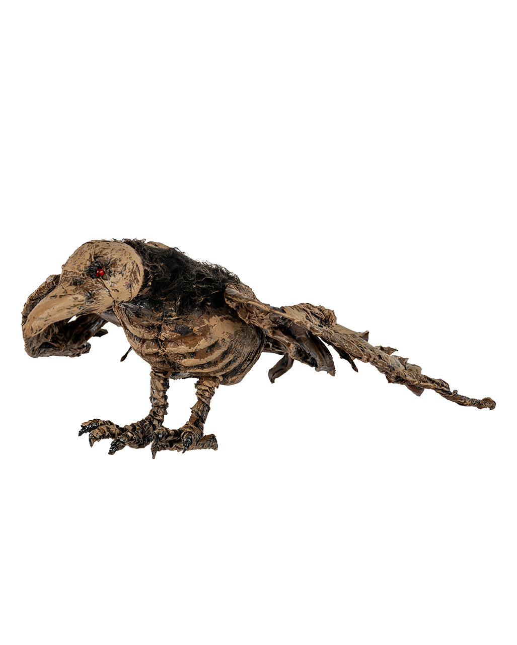 Mumifiziertes Raben Skelett aus dem Moor 55cm