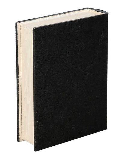 Mystery Raven Schatulle in Buchform 21cm