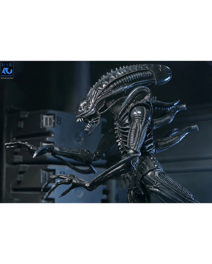 NECA Aliens 40th Anniversary Warrior Xenomorph Ultimate Action Figur 23cm