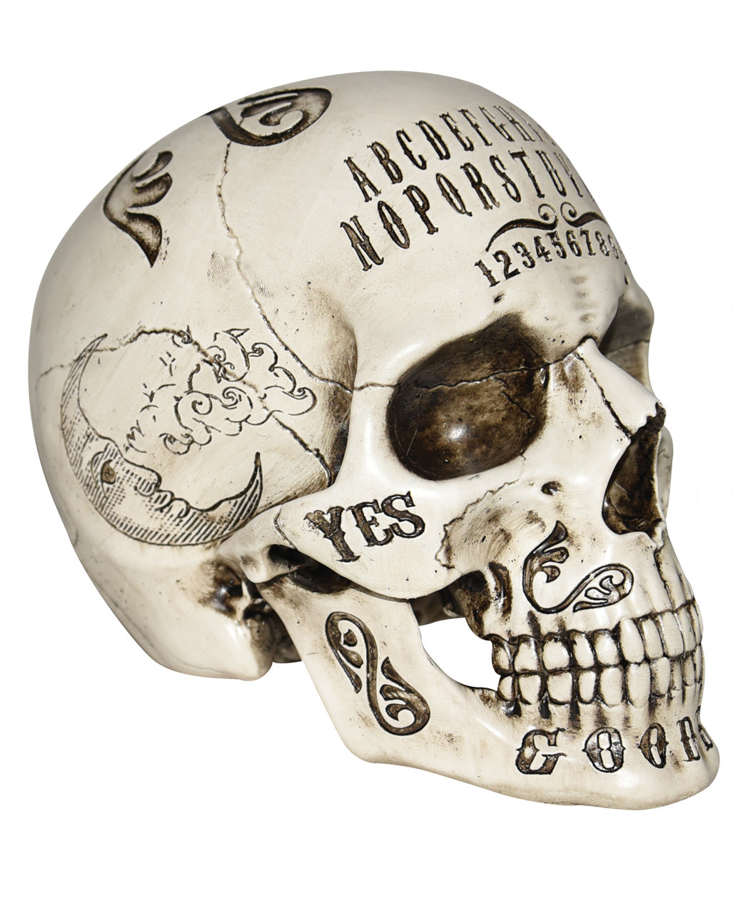 Geheimnisvoller Ouija Totenschädel 21cm
