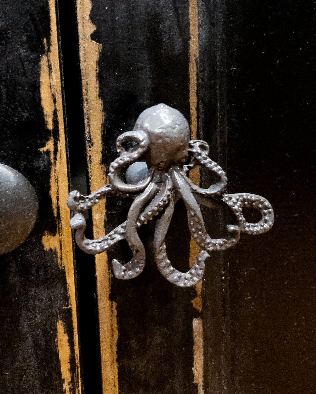 Grauer Oktopus Schubladenknauf
