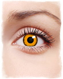 Orange Werewolf Kontaktlinsen