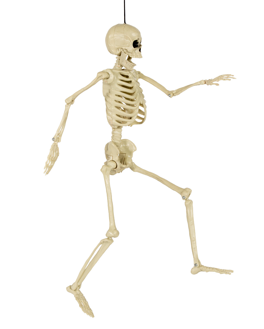 Positionierbares Halloween Skelett 36cm
