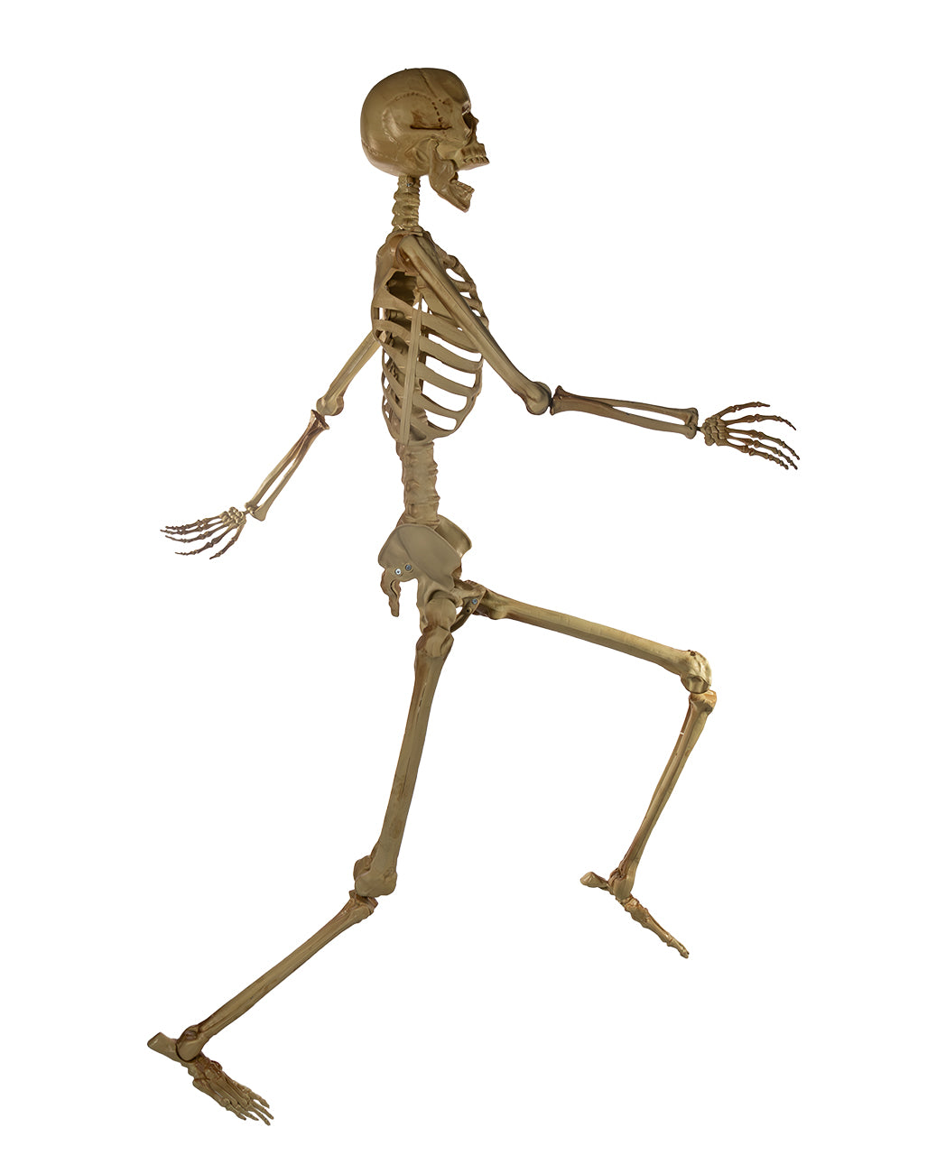 Flexibel Platzierbares Skelett mit leuchtenden Augen 165cm