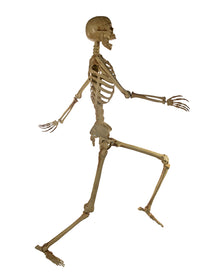 Flexibel Platzierbares Skelett mit leuchtenden Augen 165cm