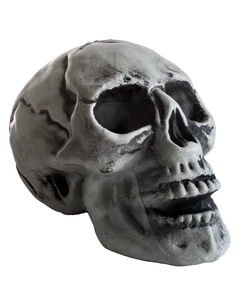 Cheap Halloween Skull 24cm