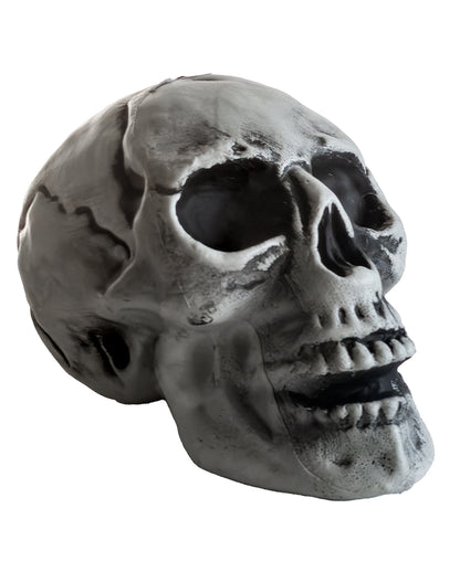 Cheap Halloween Skull 24cm