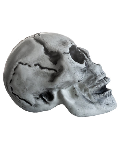 Cheap Halloween Skull 24cm