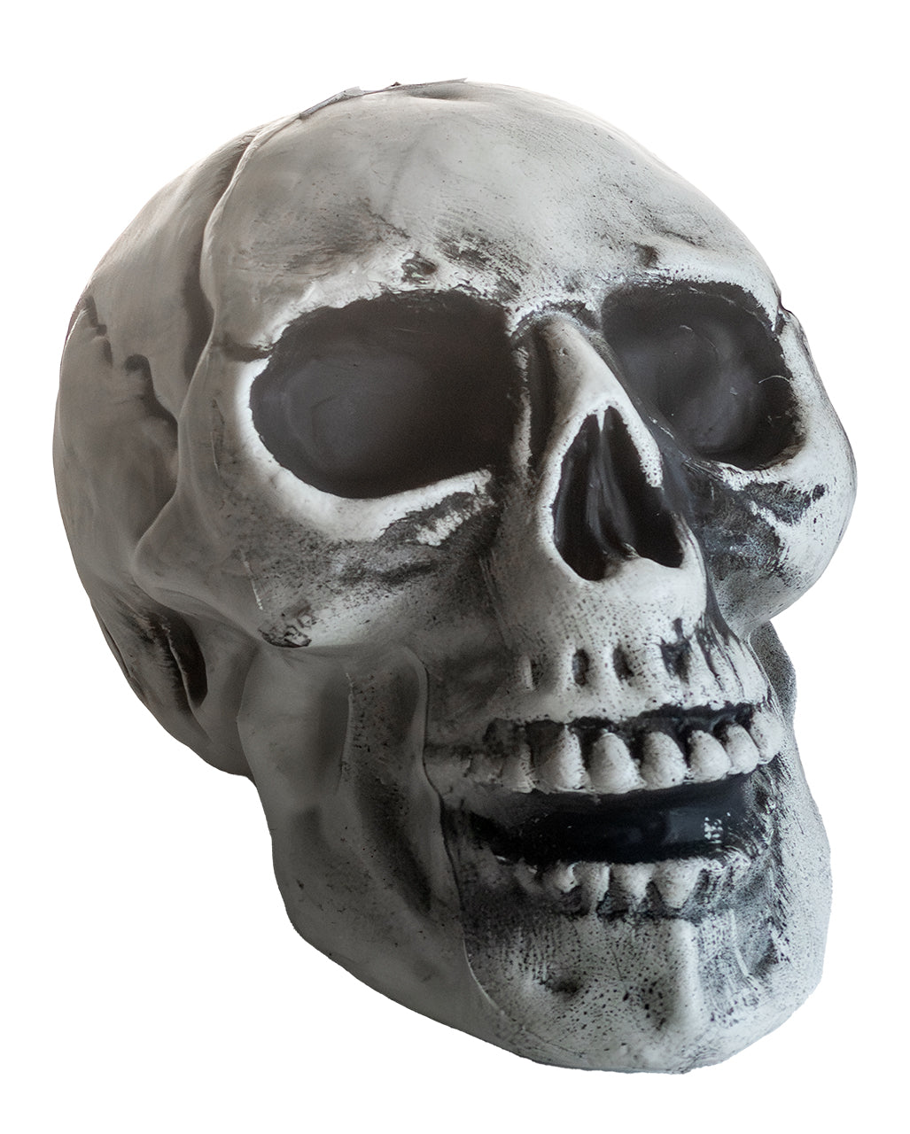 Cheap Halloween Skull 24cm