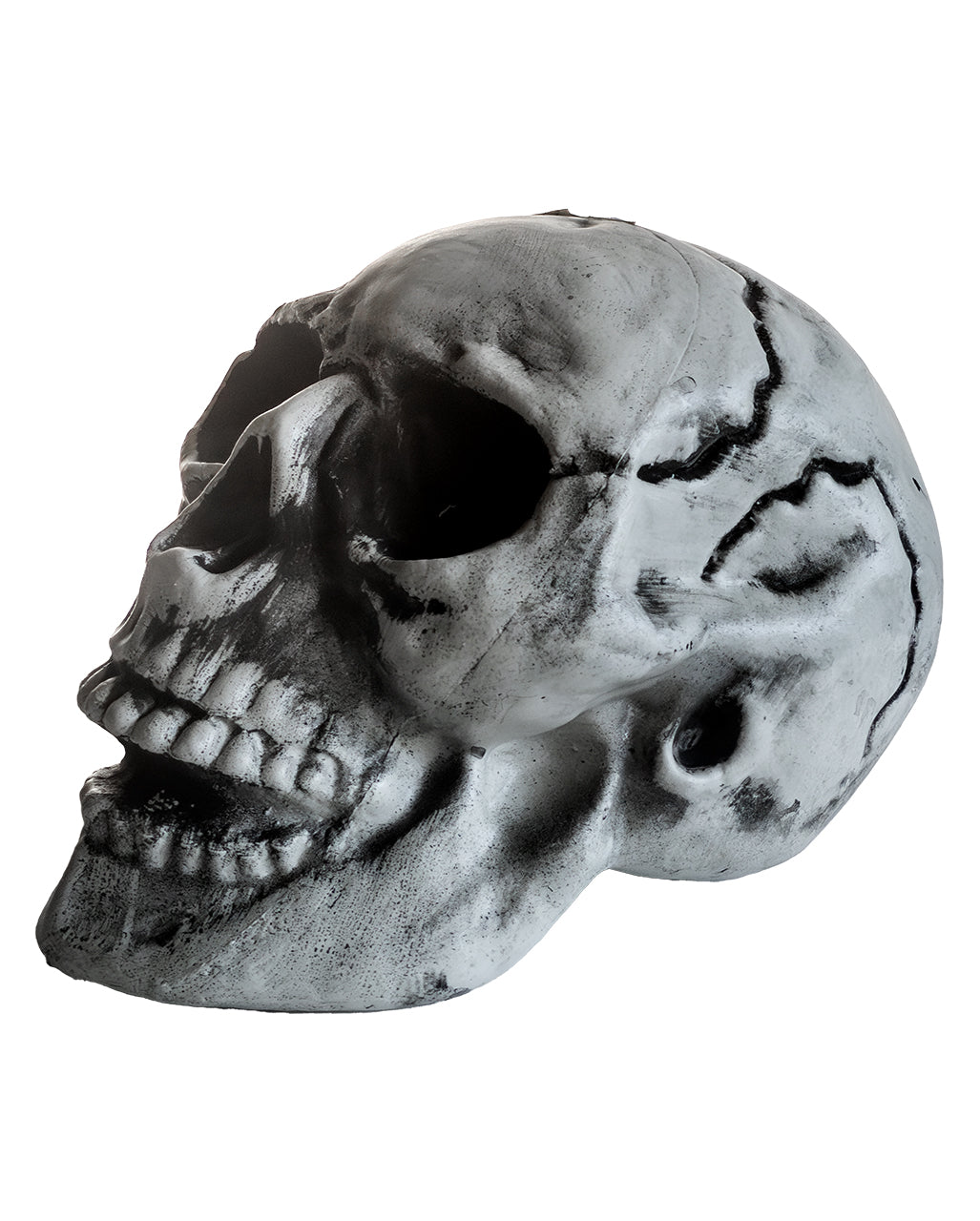 Cheap Halloween Skull 24cm