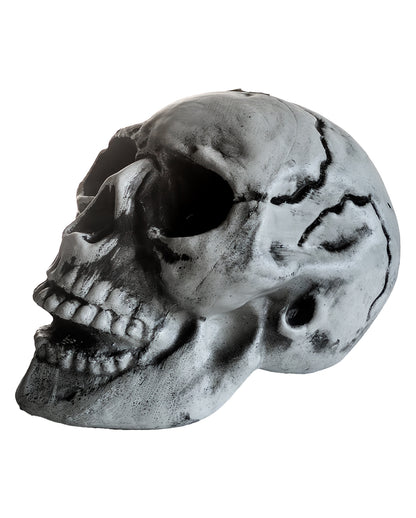 Cheap Halloween Skull 24cm