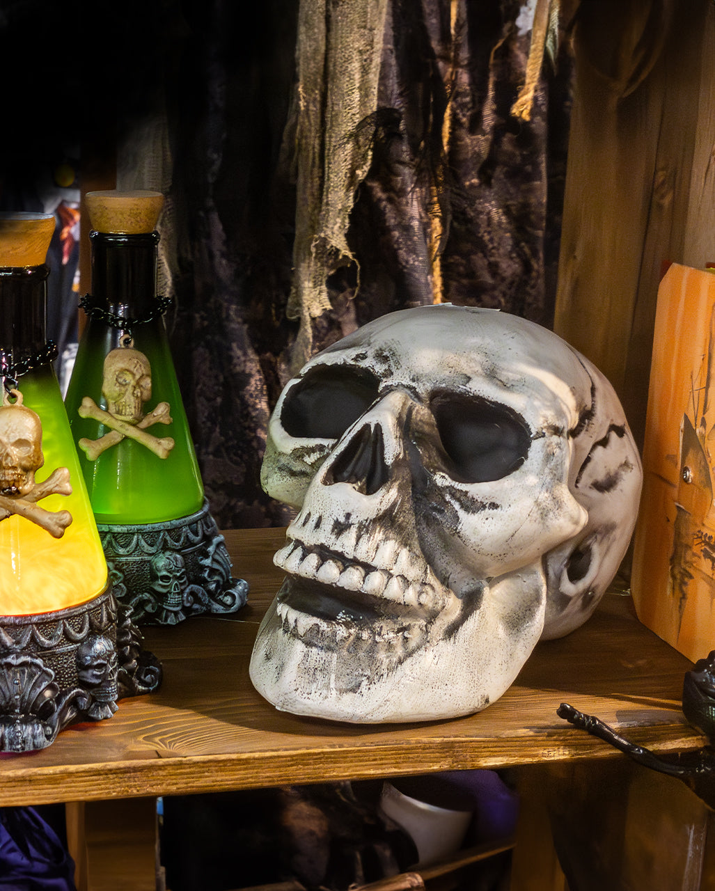 Cheap Halloween Skull 24cm