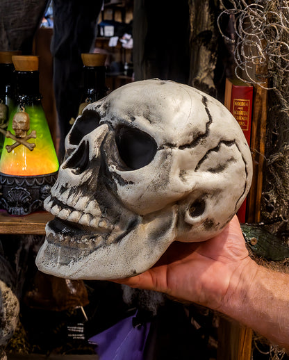 Cheap Halloween Skull 24cm