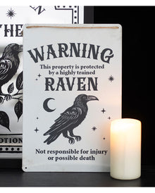 "Protected by a Raven" Metallschild 30x20cm