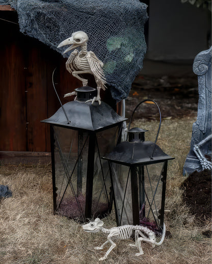 Raven Skeleton