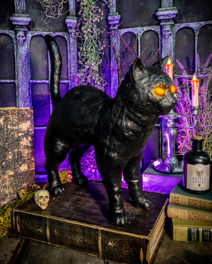 Rufus Hexenkatze mit LED Augen 39cm