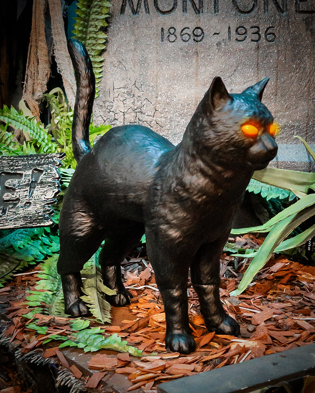 Rufus Hexenkatze mit LED Augen 39cm