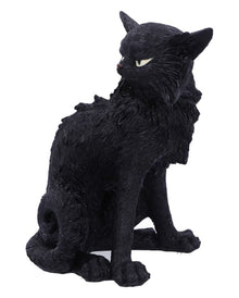 Salem Magierkatze 16,6cm