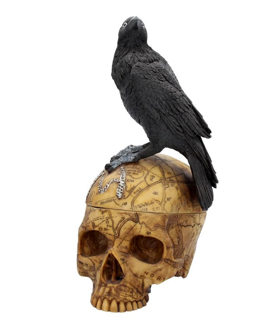 Salem Totenkopf mit Rabe