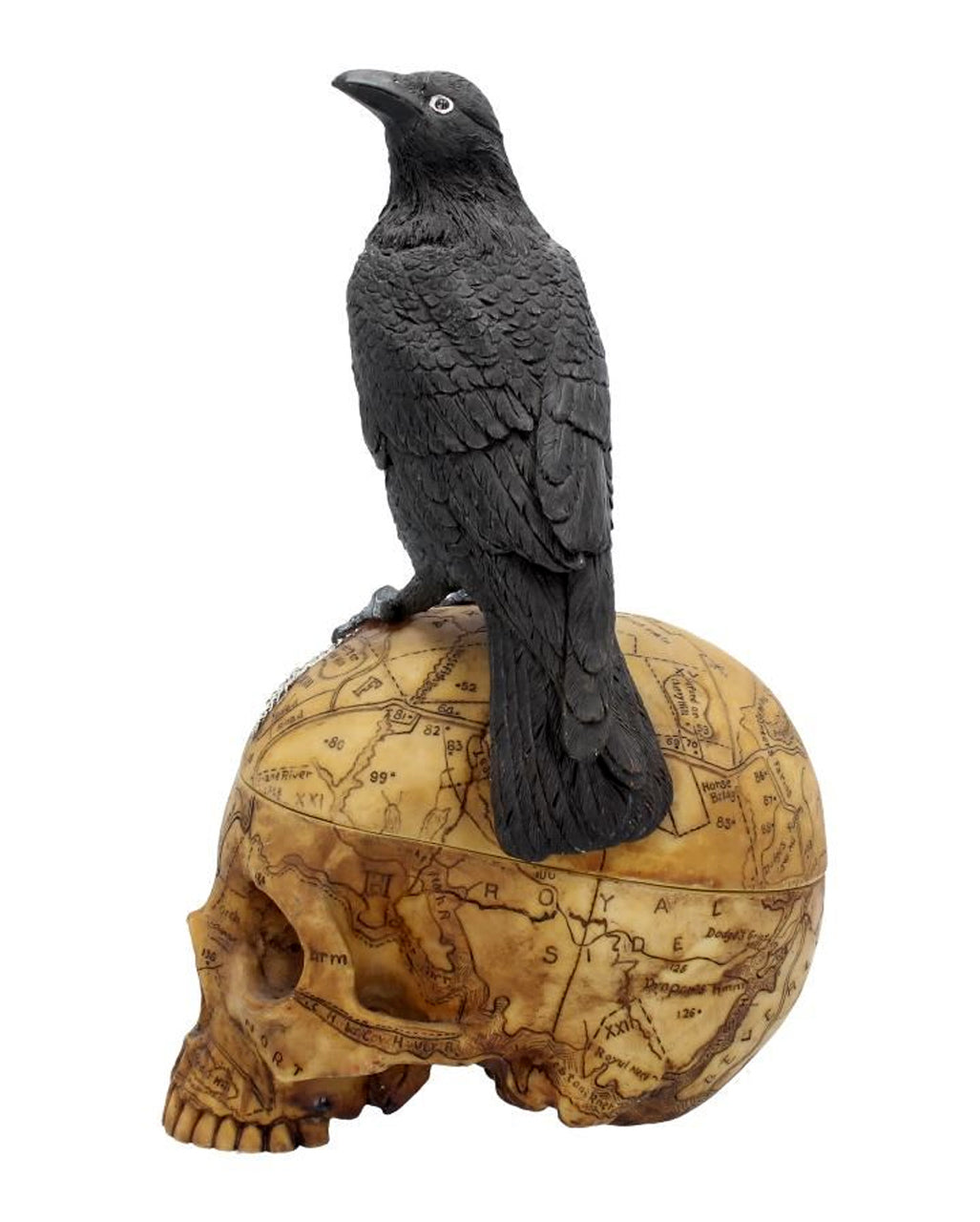 Salem Totenkopf mit Rabe