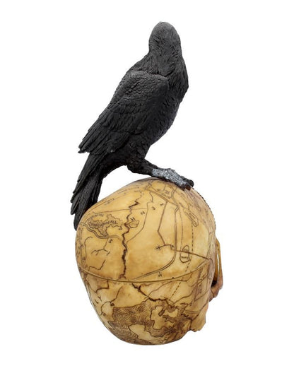 Salem Totenkopf mit Rabe