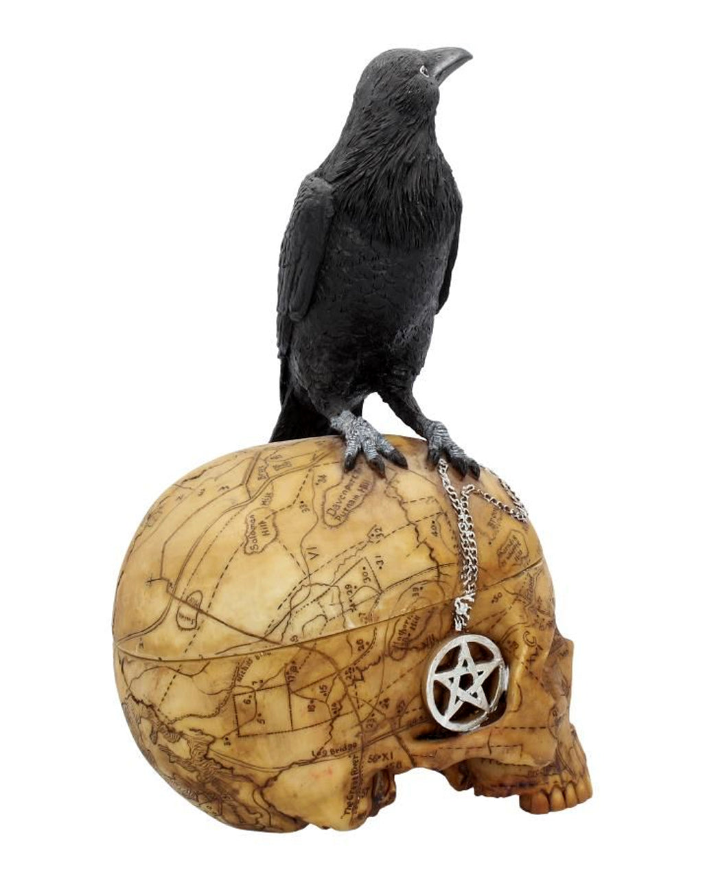 Salem Totenkopf mit Rabe