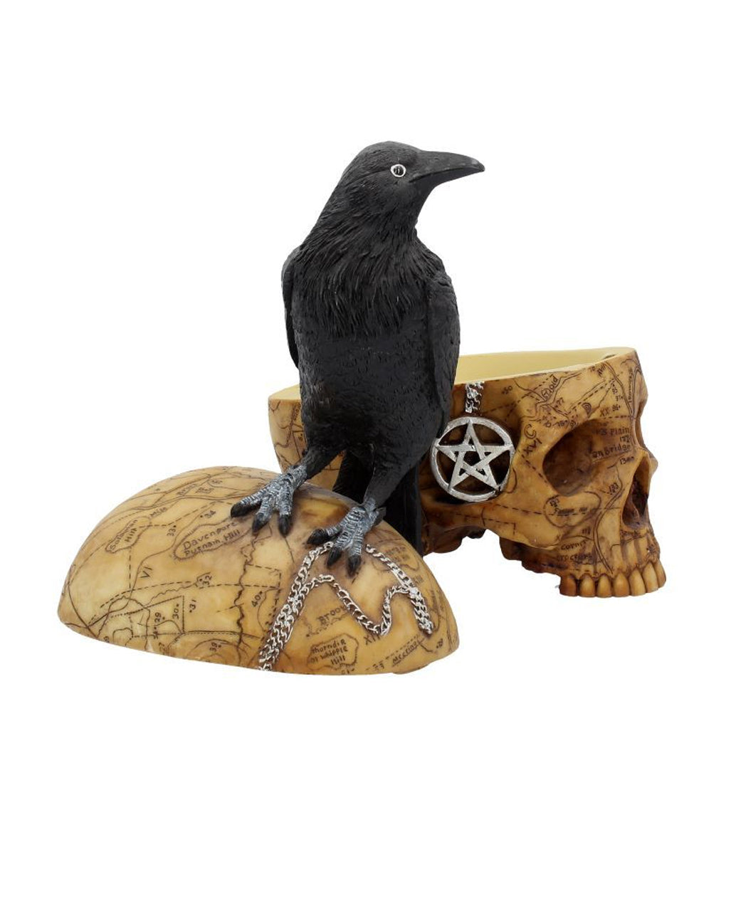 Salem Totenkopf mit Rabe