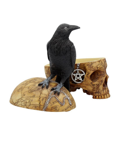 Salem Totenkopf mit Rabe