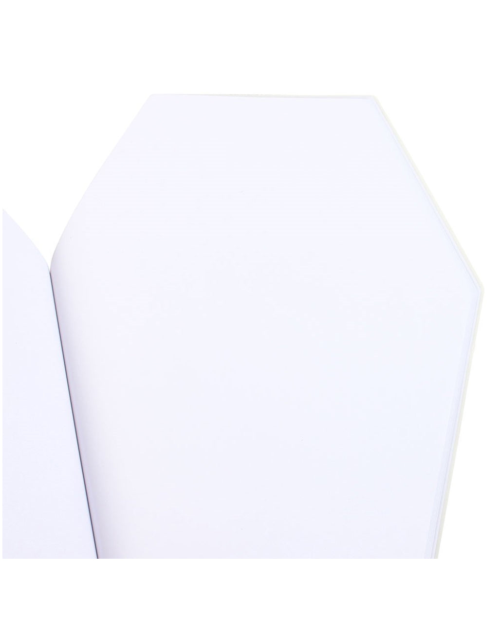 Coffin Notebook With White Pages