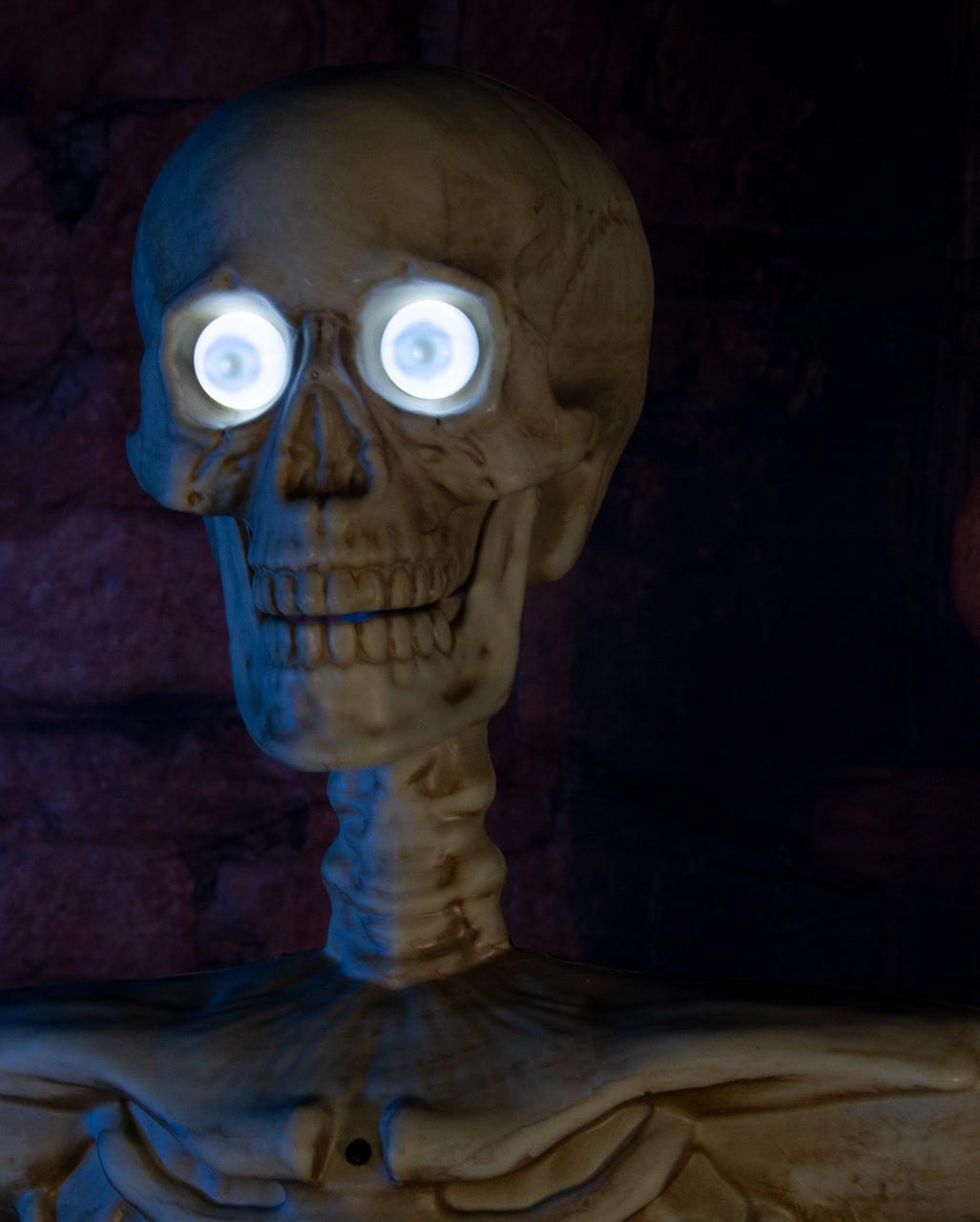 Spooky Skelett Halloween Animatronic 150cm