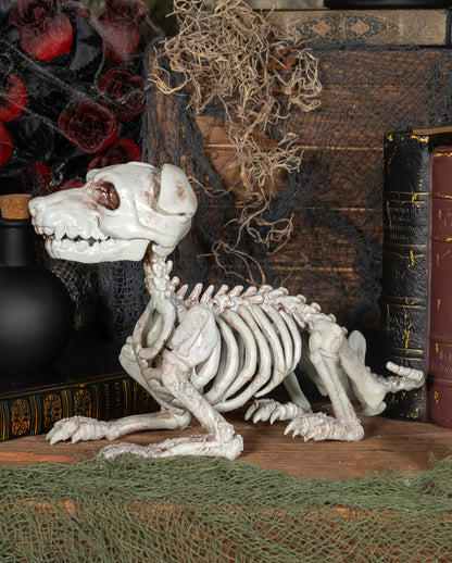 Schnauzer Hundeskelett als Halloween Deko 27cm