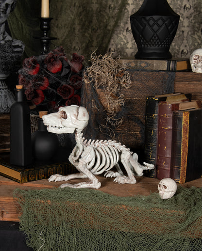 Schnauzer Hundeskelett als Halloween Deko 27cm