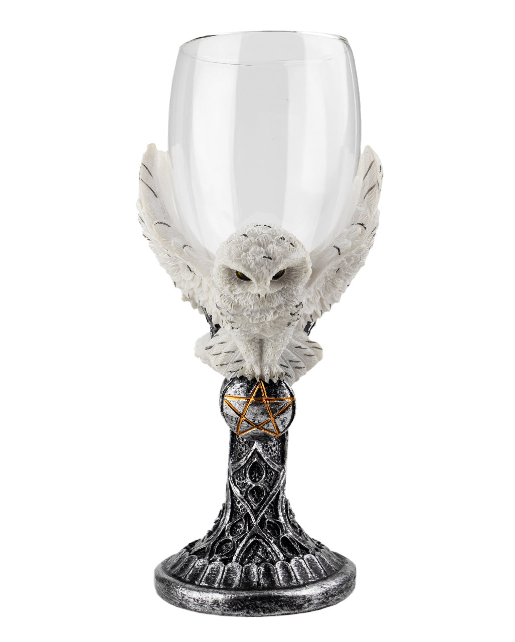 Snowy Owl With Pentagram Glass