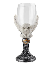Snowy Owl With Pentagram Glass