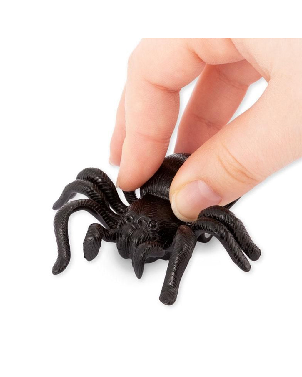 Schwarze Aufzieh Spinne 6,5cm