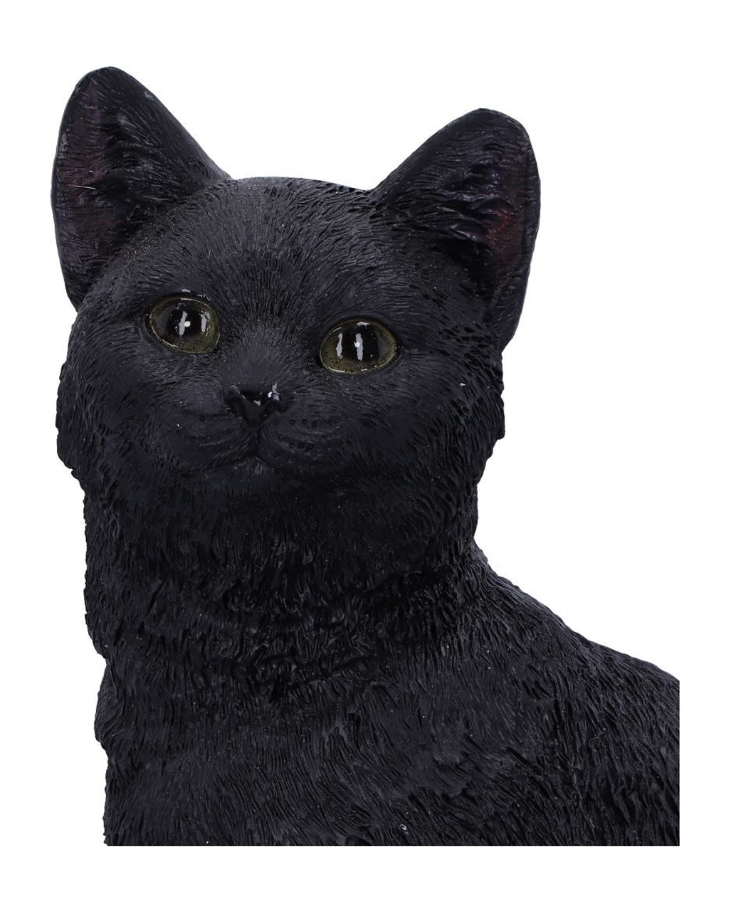 Schwarze Katze auf Totenschädel 24,3cm