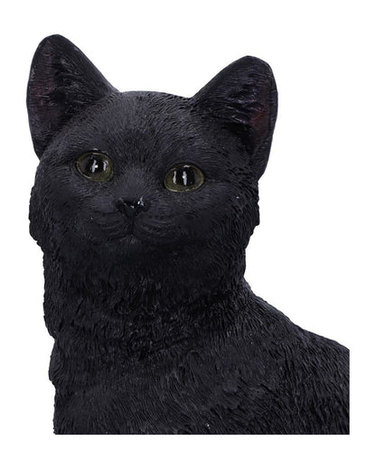Schwarze Katze auf Totenschädel 24,3cm