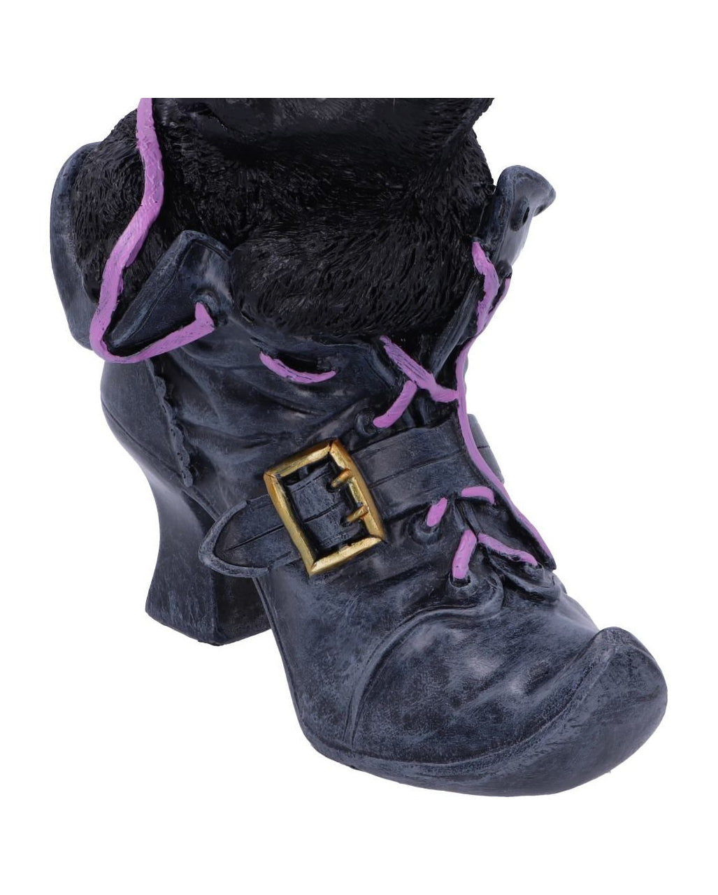Schwarze Katze im Hexenschuh
