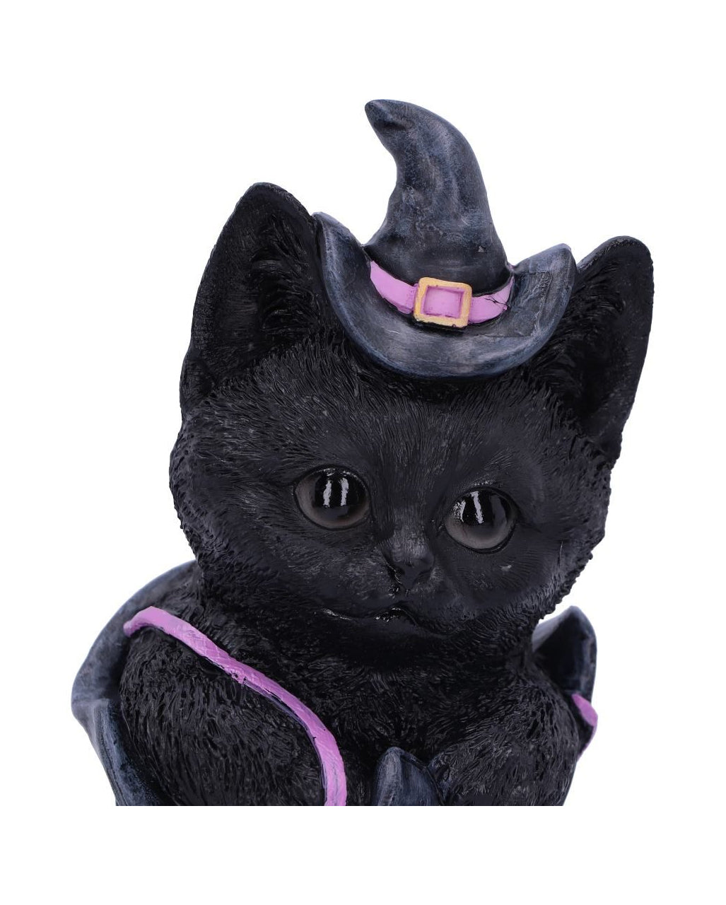 Schwarze Katze im Hexenschuh