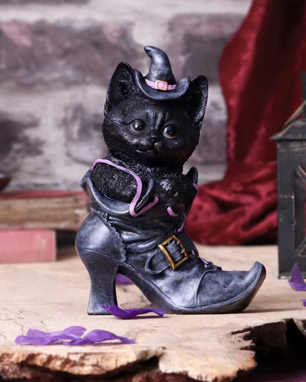 Schwarze Katze im Hexenschuh