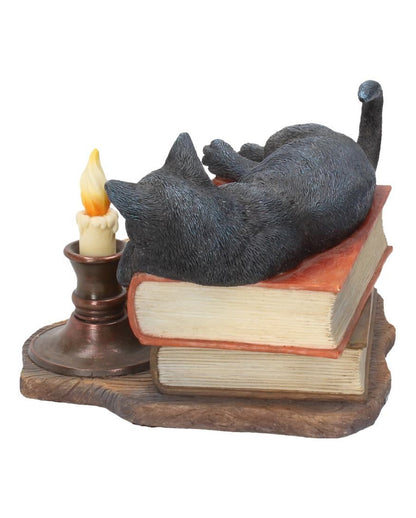 Schwarze Katze mit Zauberbüchern 20,5cm