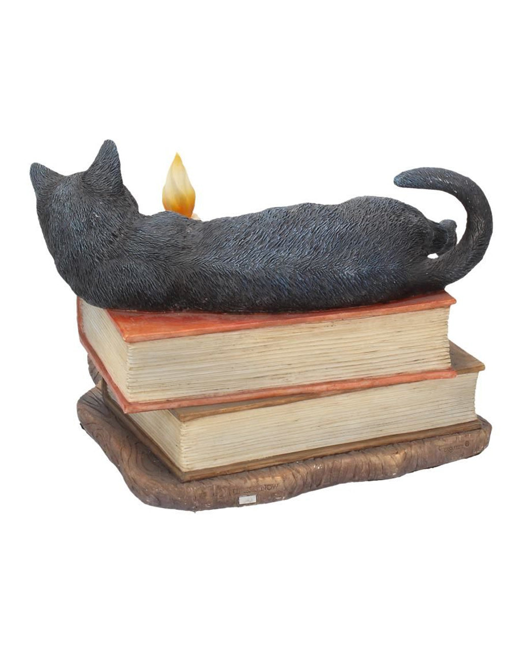 Schwarze Katze mit Zauberbüchern 20,5cm