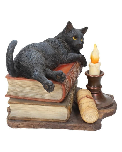 Schwarze Katze mit Zauberbüchern 20,5cm