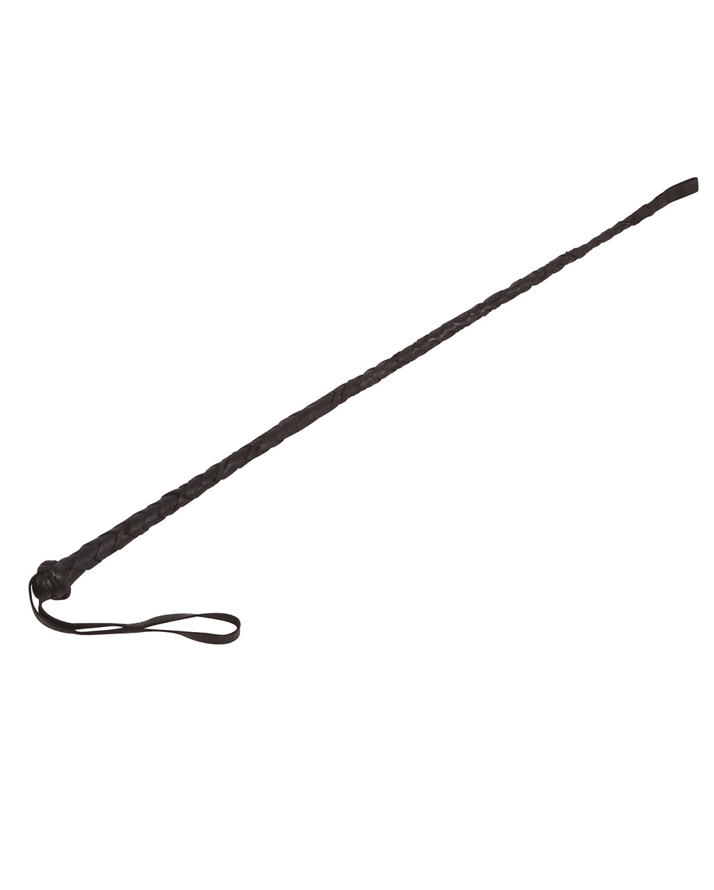 Schwarze Reitgerte 60cm