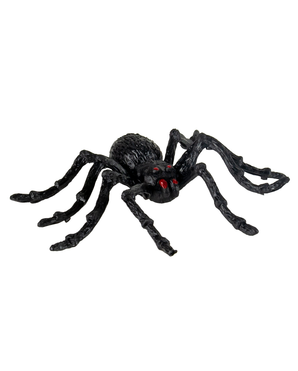 Schwarze Riesen Tarantel 2 St. 14cm